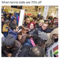 1752312628248.webp