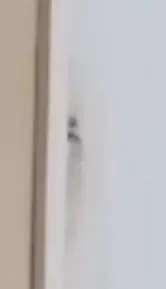 door cancer.webp
