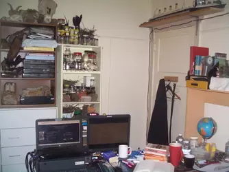 1752341556846.webp