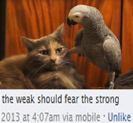 theweakshouldfearthestrong.webp
