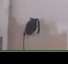 Screenshot 2025-07-12 174706.webp