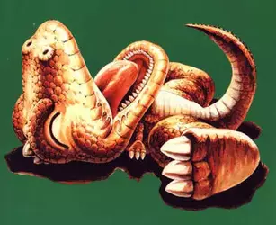 gon_by_dinolove202_d184xrw-375w.webp