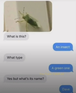 Screenshot_20250711_201254_YouTube.webp