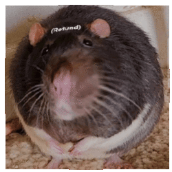 3dgifmaker02225.gif