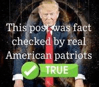 this-post-was-fact-checked-by-real-american-patriots-true.gif