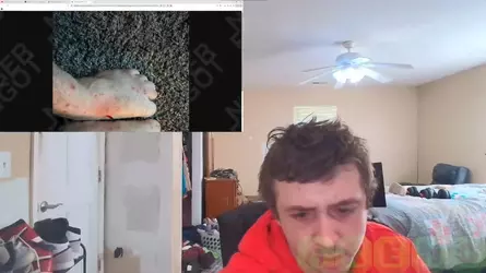 bossfeet.webp