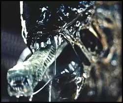Alien_MouthTongue_Spacedeaths1_1289293733_7992.webp