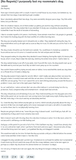 Screenshot 2025-07-12 at 19-01-33 No Regrets I purposely lost my roommate's dog. r_confession.webp
