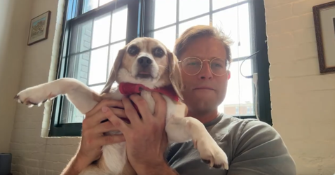 Beagle.webp