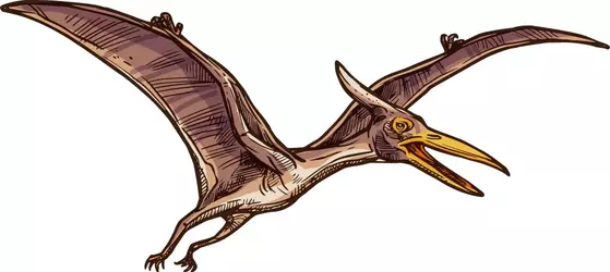 isolated-flying-pterodactyl-sketch-vector-28601008.webp