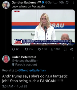 Screenshot_20250714_035140_X.webp
