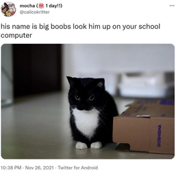 big boobs.webp