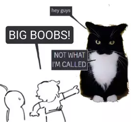 its big boobs.webp