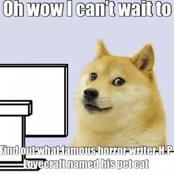 doge-finds-out-about-hp-lovecrafts-cat.webp