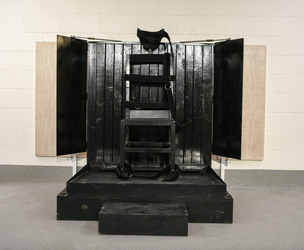 chamber.chair_.1-1024x8431752526450.webp