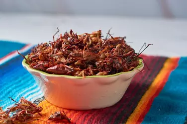 chapulines-or-grasshoppers-exotic-food-from-oaxaca-mexico--2985601359.webp