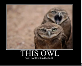 bs2.webp bs2.webp