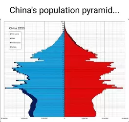 4dhinc0lyvaf1.webp