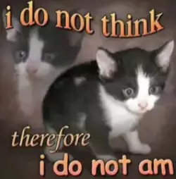 Cat Meme Descartes Philosophy Meme _i do not think, therefore, i do not am_.webp