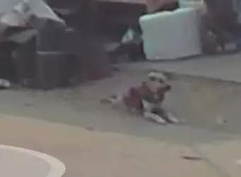 1752651937359.webp
