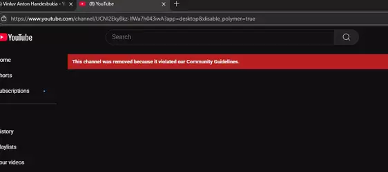 vinluvbanned.webp