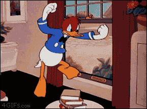 duckrage.gif