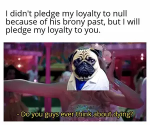 sad pug.webp