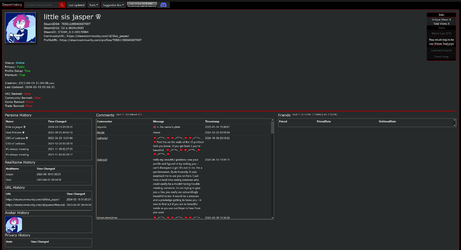 Screenshot 2025-07-14 at 21-27-55 SteamHistory.net little sis jasper ⚢ 76561198040607697.webp
