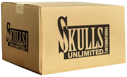TXcHnVeNT4CMkk3SW6TJ_Skulls_Box_17ccfee3-65fb-442f-93ee-913c7c1e2ce2_700x700-3334378872.webp