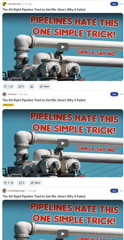 shill own vids.webp