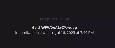Screenshot_20250716_195337.webp