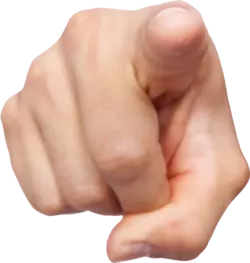 YOU.webp