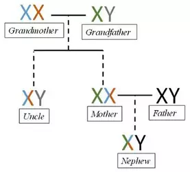 1752728312454.webp