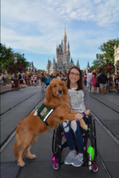 Screen Shot 2019-05-17 at 15.25.15.png