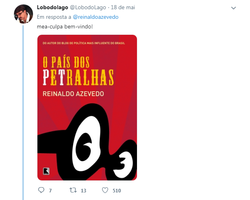 Reinaldo 3.png