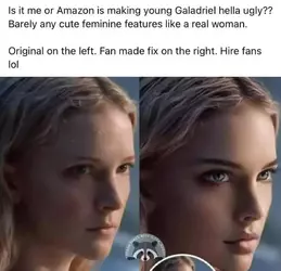 fans.webp