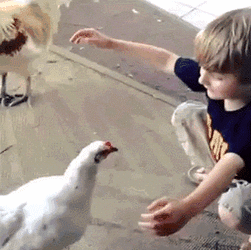 837.GIF