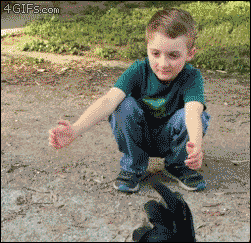 3870.GIF