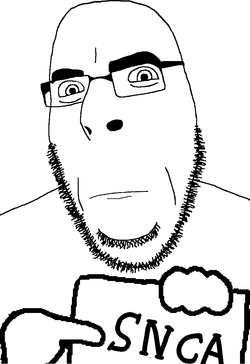 snca.webp