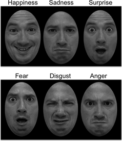 aur1508-fig-0001.webp