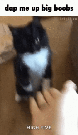 bigboobs.gif