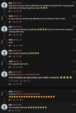 Screenshot 2025-07-18 at 12-34-13 jake (@chrm3dd) incel trumpies are genuinely such idiotic c...webp
