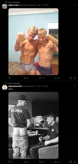 Screenshot 2025-07-18 at 12-37-55 vitor (@cigarett3syy) _ X.webp