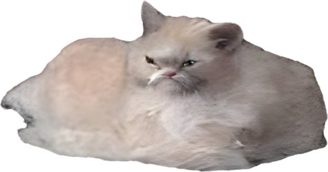 Mfwcats.webp