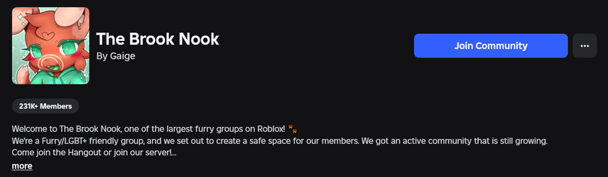 Screenshot 2025-07-18 at 16-26-17 The Brook Nook - Roblox.webp