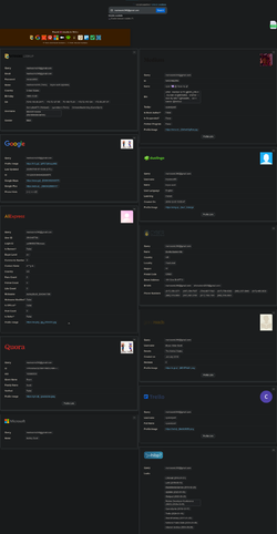 Screenshot 2025-07-17 at 00-12-28 OSINT Reverse Email Lookup.webp