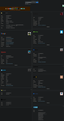 Screenshot 2025-07-16 at 22-22-58 OSINT Reverse Email Lookup.webp