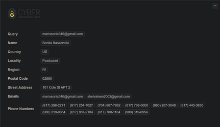 Screenshot 2025-07-18 at 16-58-35 Screenshot 2025-07-17 at 00-12-28 OSINT Reverse Email Looku...webp
