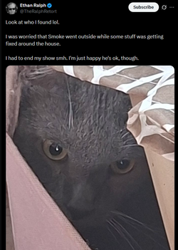 Screenshot 2025-07-18 170852.webp