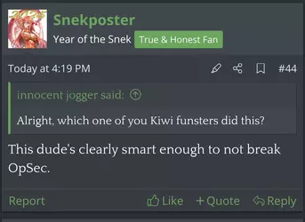 kiwi1.webp